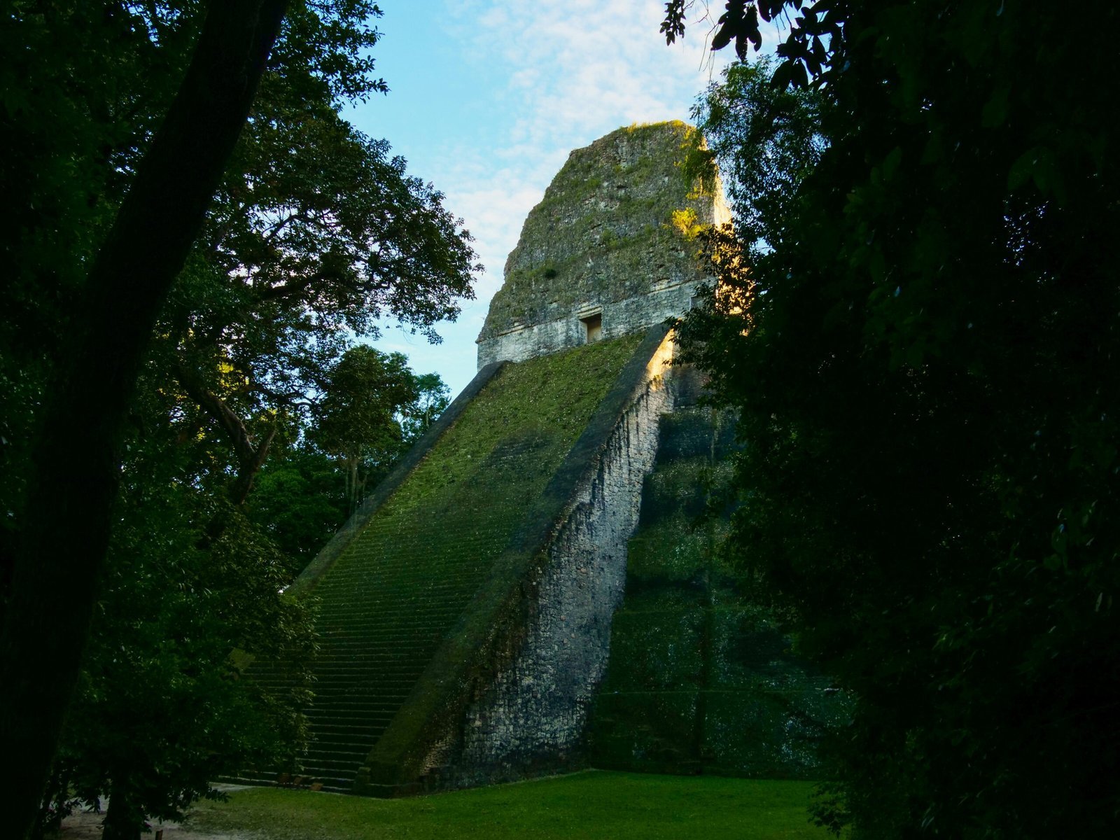 a very tall building sitting in the middle of a forest